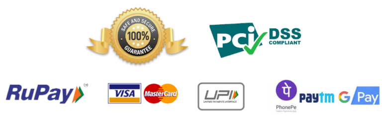 payment logos v2 1